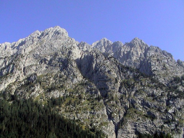 Vista dal basso del Monte Coglians (foto - Mauri)